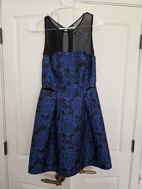 Aqua Black and Royal Blue Floral Fit-and-Flare Mini Dress